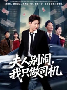 短剧《夫人别闹我只做司机》80集短剧超清无卡顿免费观看