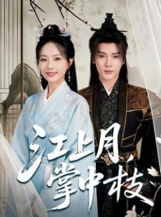 短剧《江上月掌中枝》80集短剧1080P高清画质全集观看
