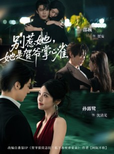 短剧《别惹她，她是贺爷掌心雀》69集短剧超清画质在线畅享