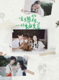 短剧《像烟花一样灿烂》60集短剧1080P在线免费追全集