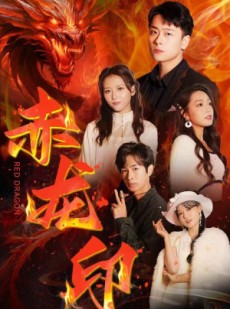 短剧《赤龙印》80集短剧超清画质全屏观看体验佳