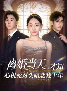 短剧《离婚当天才知心机死对头暗恋我十年》90集短剧手机高清在线观看