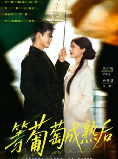 短剧《等葡萄成熟后》82集短剧免费在线观看全集