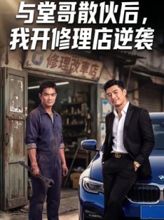 短剧《与堂哥散伙后，我开修理店逆袭》40集短剧全集高清在线速看