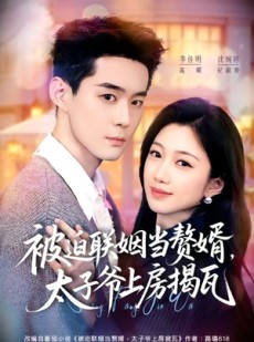 短剧《被迫联姻当赘婿，太子爷上房揭瓦》80集短剧在线解锁全集观看