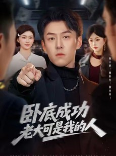 短剧《卧底成功老大可是我的人》99集短剧高清全集免费在线览