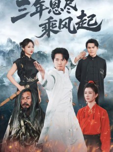 短剧《三年恩尽乘风起》60集短剧蓝光画质无广告观看