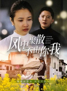 短剧《风中聚散不由你我》41集短剧高清版全集在线观看