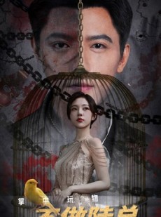 短剧《掌中玩物不做陆总金丝雀》90集短剧蓝光画质无广告观看