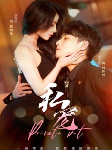 短剧《私宠》94集短剧手机在线随时观看