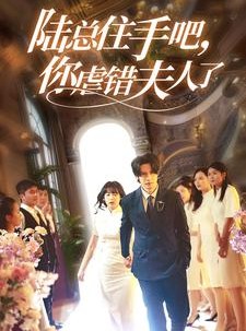 短剧《陆总住手吧，你虐错夫人了》80集短剧蓝光画质无广告观看