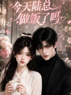 短剧《今天陆总做饭了吗》43集短剧1080P在线免费追剧