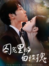 短剧《囚笼里的白玫瑰》59集短剧高清全集一键观看