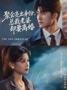 短剧《聚会亮出身份，总裁老婆却要离婚》81集短剧高清全集在线免费追