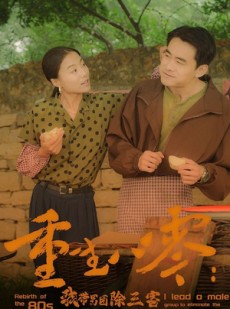 短剧《重生八零：我带男团除三害》96集短剧极速播放不卡顿