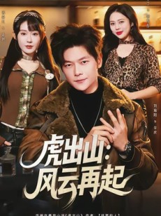 短剧《虎出山：风云再起》67集短剧高清无删减在线观看