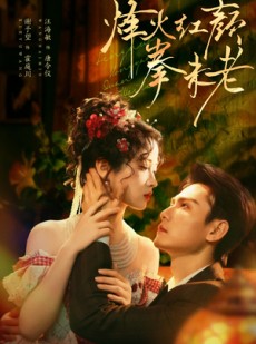 短剧《烽火红颜拳未老》53集短剧高清在线无广告观看