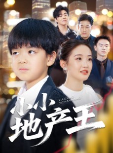短剧《小小地产王》50集短剧在线观看全集无广告