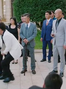 短剧《尊龙绝世神君》81集短剧全集高清版在线免费追