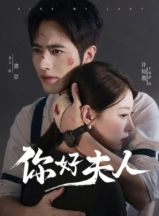 短剧《你好夫人》70集短剧超清画质免费观看