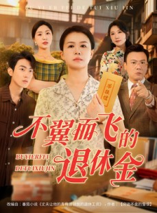 短剧《不翼而飞的退休金》63集短剧高清流畅家庭影院体验
