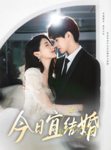 短剧《今日宜结婚》80集短剧高清流畅在线免费看