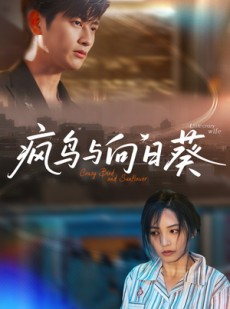 短剧《疯鸟与向日葵》40集短剧免费高清观看不卡顿