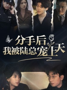 短剧《分手后，我被陆总宠上天》76集短剧全集流畅播放，不卡顿