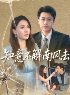 短剧《知意不解南风去》90集短剧超清画质免费看全集