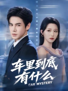 短剧《车里到底有什么》51集短剧免费在线看完整剧情