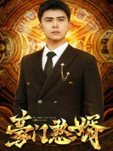 短剧《豪门憨婿》61集短剧全集极速缓冲流畅播放