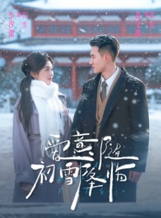 短剧《爱意随初雪降临》66集短剧超清无广告在线观看
