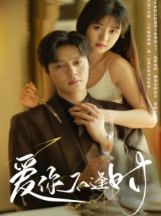 短剧《爱你不逢时》91集短剧高清流畅在线免费看