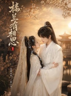 短剧《楼兰有相思》50集短剧免费观看全集不卡顿