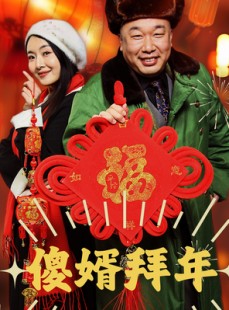 短剧《傻婿拜年》32集短剧手机高清在线观看