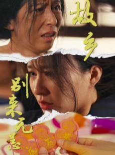 短剧《故乡别来无恙》55集短剧高清流畅在线观看