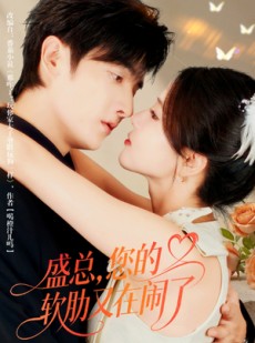 短剧《盛总，您的软肋又在闹了》80集短剧1080P画质在线看