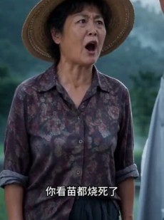 短剧《全村嘲笑我养鸭，我却成了生态大王》39集短剧免费在线看完整剧情