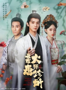 短剧《我在大唐开诊所》60集短剧1080P高清在线观看