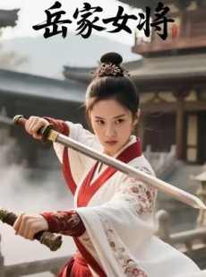 短剧《岳家女将》20集短剧1080P高清在线观看