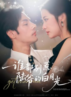 短剧《谁都别惹陆爷的白月光》79集短剧免费解锁全集观看