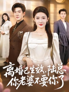 短剧《离婚已生效，陆总你老婆不要你了》61集短剧全集高清免费享