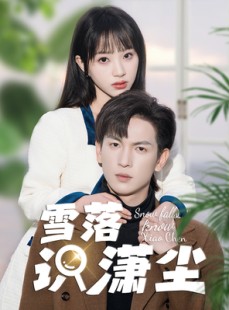 短剧《雪落识潇尘》80集短剧高清全集手机平板随时看
