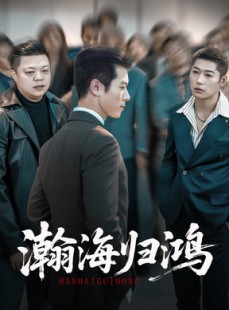 短剧《瀚海归鸿》74集短剧超清画质免费在线看