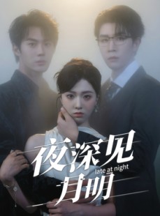 短剧《夜深见月明》50集短剧高清在线免费览