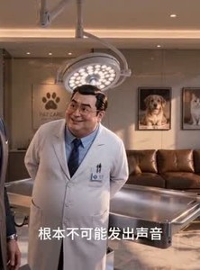 短剧《那只猫说我是憨憨》33集短剧超清画质在线追剧
