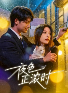 短剧《夜色正浓时》32集短剧在线观看一口气看大结局