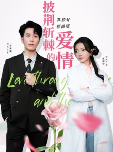 短剧《披荆斩棘的爱情》90集短剧全集高清在线免费追完