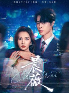 短剧《晨薇》61集短剧全集高清免费直看