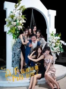 短剧《高手下山，我被师姐包围了》75集短剧高清流畅在线免费观看